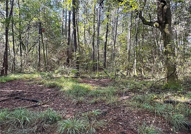 Photo 3 of Land for sale at Lot C Dove Park Rd, Covington, LA 70435 | MLS# 2520915 | Listing updated on 2026-07-10