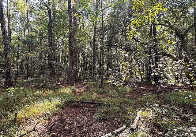 Photo 4 of Land for sale at Lot D Dove Park Rd, Covington, LA 70435 | MLS# 2520917 | Listing updated on 2026-07-10