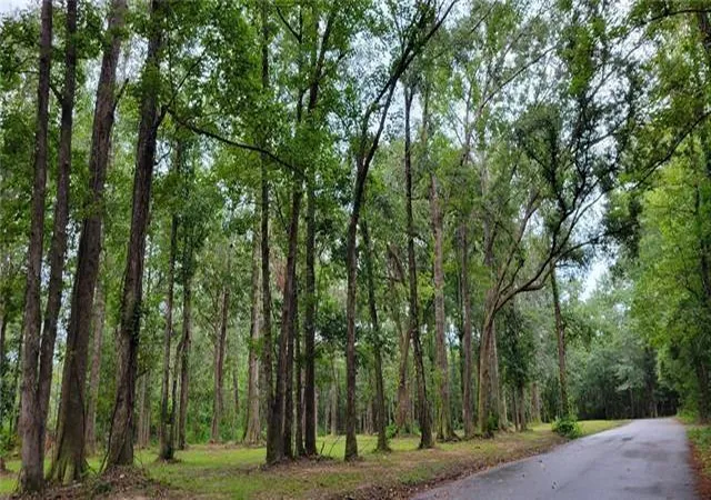 Photo 1 of Sale Pending at 0 Milton Craddock Rd, Pearl River, LA 70452 | MLS# 2522504 | Listing updated on 2026-07-22