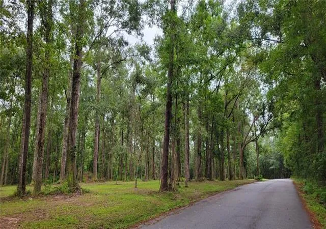 Photo 3 of Sale Pending at 0 Milton Craddock Rd, Pearl River, LA 70452 | MLS# 2522504 | Listing updated on 2026-07-22