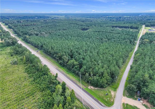 3rd image of Lot 2 Bethel Woods Hwy, Franklinton, LA 70438 | MLS# 2522602