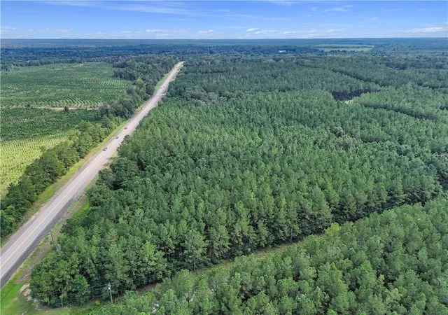 4th image of Lot 2 Bethel Woods Hwy, Franklinton, LA 70438 | MLS# 2522602