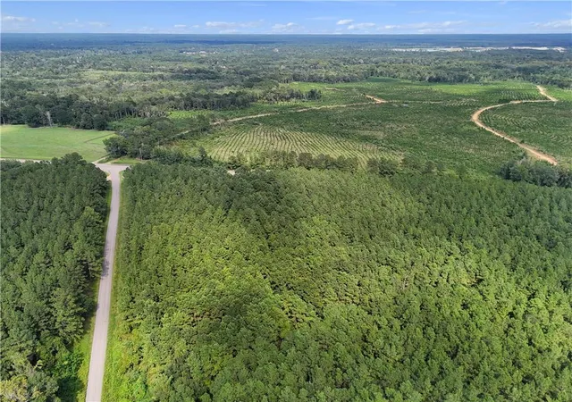 8th image of Lot 2 Bethel Woods Hwy, Franklinton, LA 70438 | MLS# 2522602