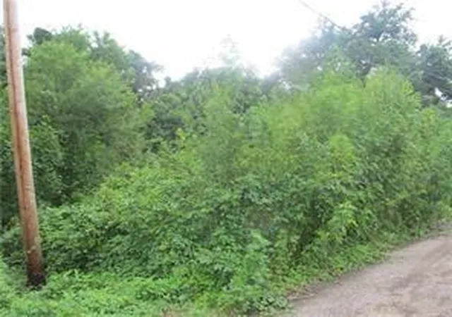 1st image of Lots 15 18 Potomac St, New Orleans, LA 70114 | MLS# 2523101
