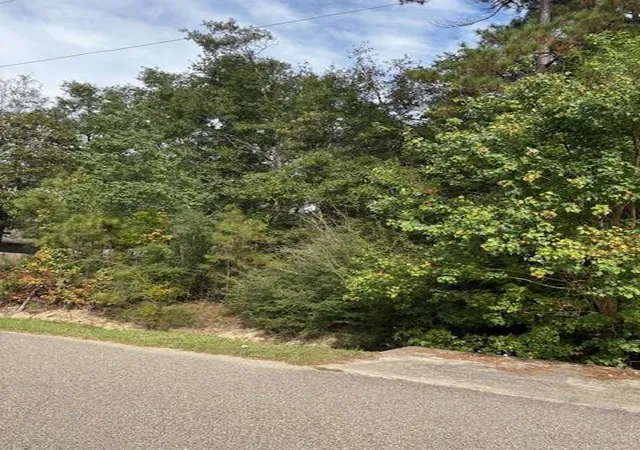 Photo 3 of Land for sale at 64400 Josephine St, Pearl River, LA 70452 | MLS# 2524803 | Listing updated on 2026-03-30