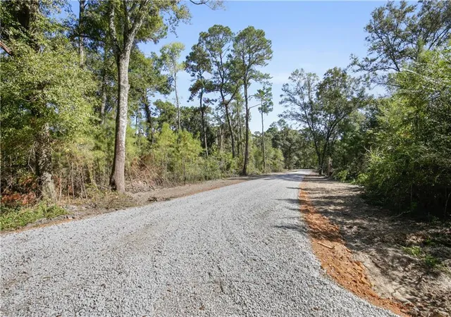 4th image of 755Acres E Club De Luxe Rd, Hammond, LA 70403 | MLS# 2525931