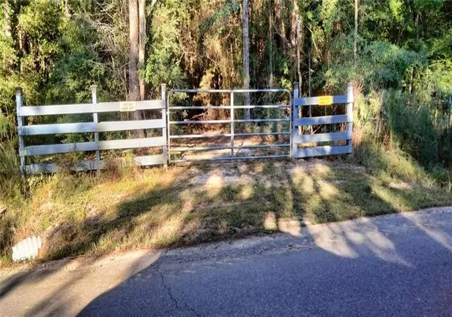 Homes for sale in Independence, LA | Lot W Fontana Rd, Independence, LA 70443 | MLS# 2527567