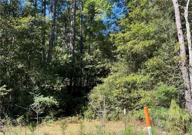Homes for sale in Independence, LA | Lot W Fontana Rd, Independence, LA 70443 | MLS# 2527567