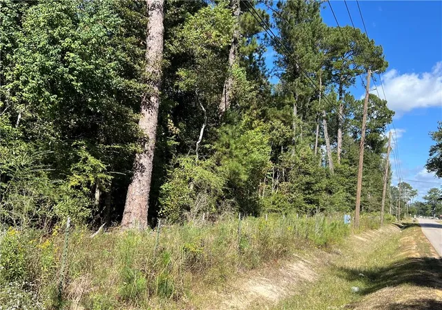 Homes for sale in Independence, LA | Lot W Fontana Rd, Independence, LA 70443 | MLS# 2527567