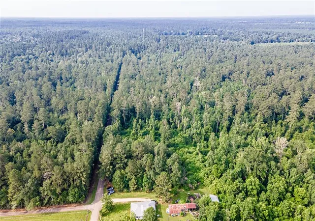 Photo 2 of Land for sale at Lee Settlement Rd, Folsom, LA 70437 | MLS# 2527829 | Listing updated on 2026-07-09