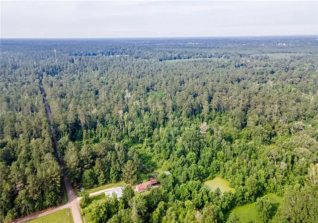 Photo 2 of Land for sale at Lee Settlement Rd, Folsom, LA 70437 | MLS# 2527829 | Listing updated on 2026-07-09