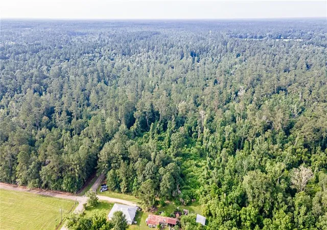 Photo 3 of Land for sale at Lee Settlement Rd, Folsom, LA 70437 | MLS# 2527829 | Listing updated on 2026-07-09