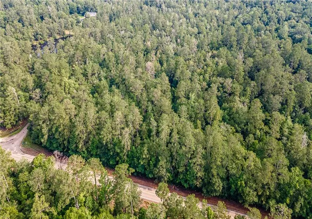 Photo 4 of Land for sale at Lee Settlement Rd, Folsom, LA 70437 | MLS# 2527829 | Listing updated on 2026-07-09