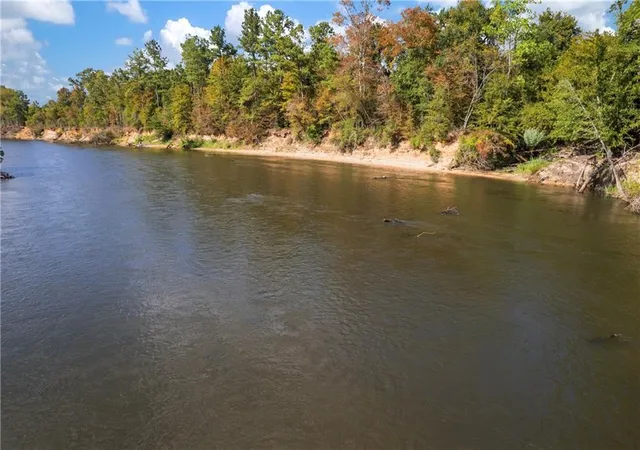 2nd image of Lot 51 Banks Dr   Hwy 16 Hwy, Franklinton, LA 70438 | MLS# 2528497