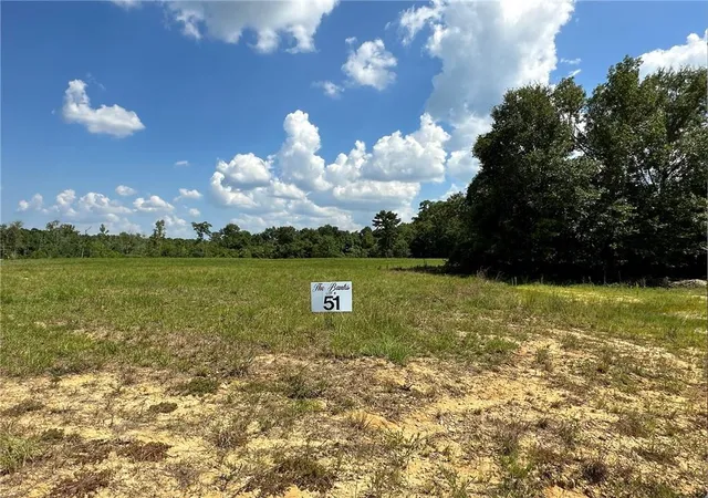 Photo 3 of Land for sale at Lot 51 Banks Dr   Hwy 16 Hwy, Franklinton, LA 70438 | MLS# 2528497 | Listing updated on 2026-04-20
