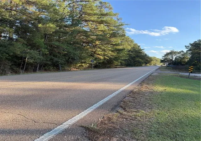 Homes for sale in Tickfaw, LA | Tbd Hwy 442 And Hwy 1065, Tickfaw, LA 70466 | MLS# 2528518
