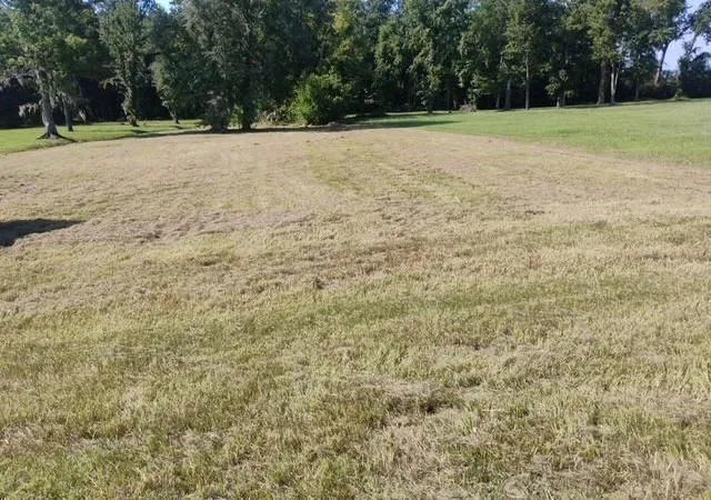 1st image of 0 W Worthy Rd, Gonzales, LA 70737 | MLS# 2530666