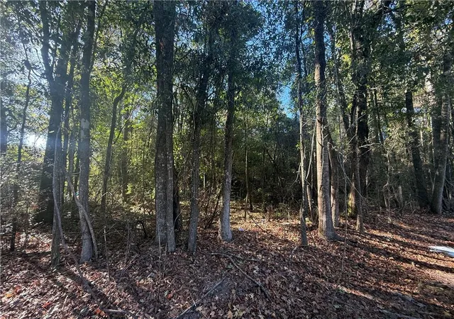 Homes for sale in Sun, LA | 29100 La 16 Hwy, Sun, LA 70463 | MLS# 2531394