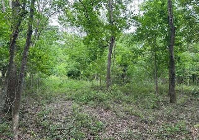 Photo 1 of Land for sale at 0 Todd Dr, Saint Bernard, LA 70085 | MLS# 2532489 | Listing updated on 2026-01-23