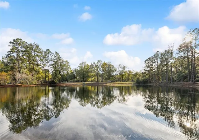 Homes for sale in Amite, LA | 61180 Doe Run Dr, Amite, LA 70422 | MLS# 2533959