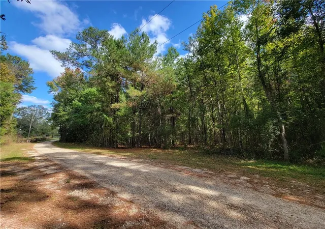 1st image of 14042 Mill Creek Rd, Franklinton, LA 70438 | MLS# 2534530