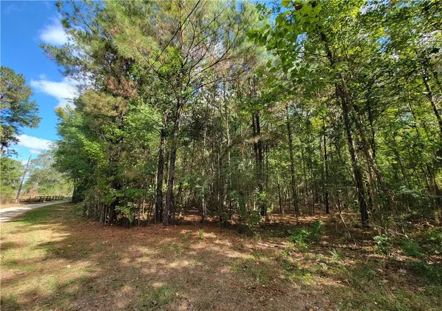3rd image of 14042 Mill Creek Rd, Franklinton, LA 70438 | MLS# 2534530