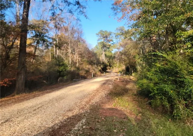 4th image of 14042 Mill Creek Rd, Franklinton, LA 70438 | MLS# 2534530