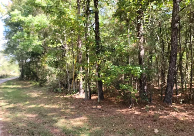 5th image of 14042 Mill Creek Rd, Franklinton, LA 70438 | MLS# 2534530