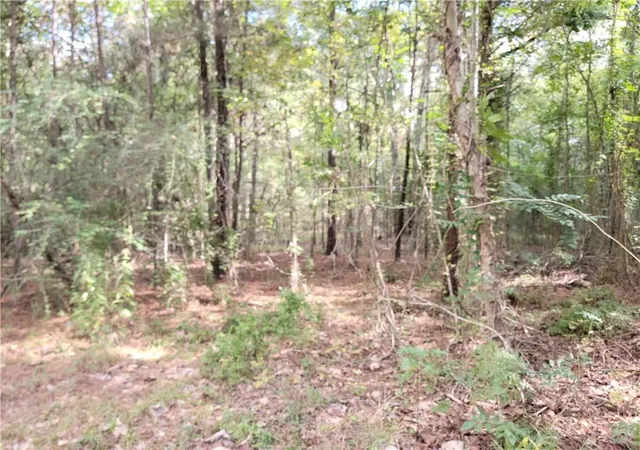 7th image of 14042 Mill Creek Rd, Franklinton, LA 70438 | MLS# 2534530