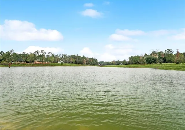 28th image of 25477 S Choctaw Dr, Franklinton, LA 70438 | MLS# 2534049