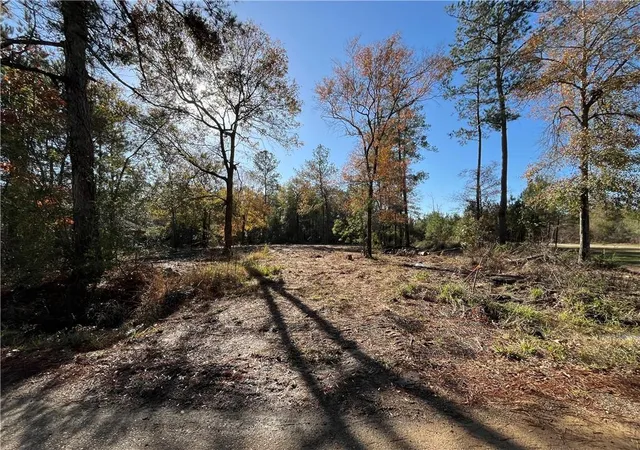 Homes for sale in Independence, LA | 30840 Hubert Stilley Rd, Independence, LA 70443 | MLS# 2536236