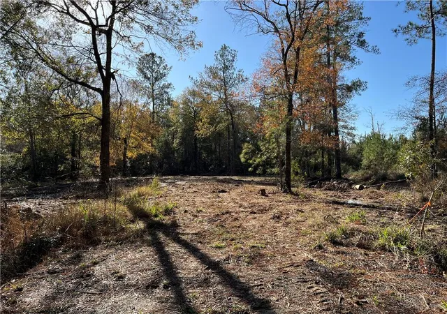 Homes for sale in Independence, LA | 30840 Hubert Stilley Rd, Independence, LA 70443 | MLS# 2536236