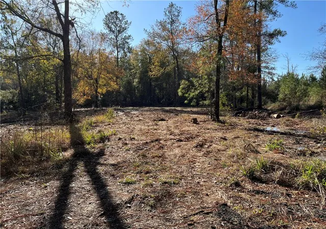 Homes for sale in Independence, LA | 30840 Hubert Stilley Rd, Independence, LA 70443 | MLS# 2536236