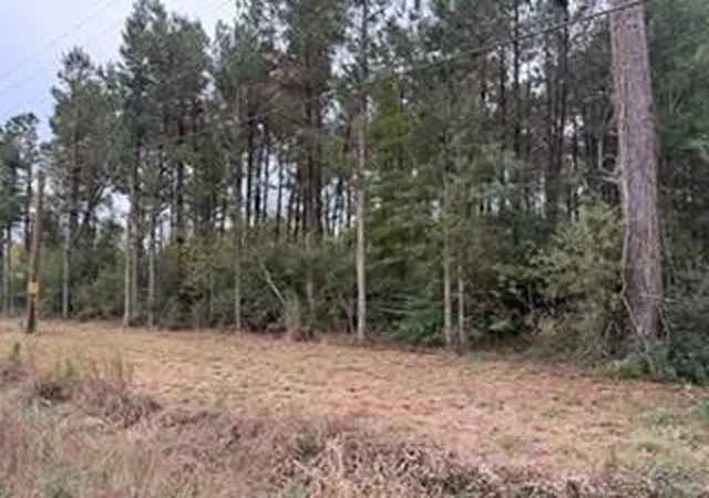 Homes for sale in Holden, LA | 6203 Tbd 441 Hwy, Holden, LA 70744 | MLS# 2536128