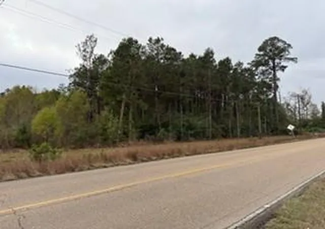 Homes for sale in Holden, LA | 6203 Tbd 441 Hwy, Holden, LA 70744 | MLS# 2536128