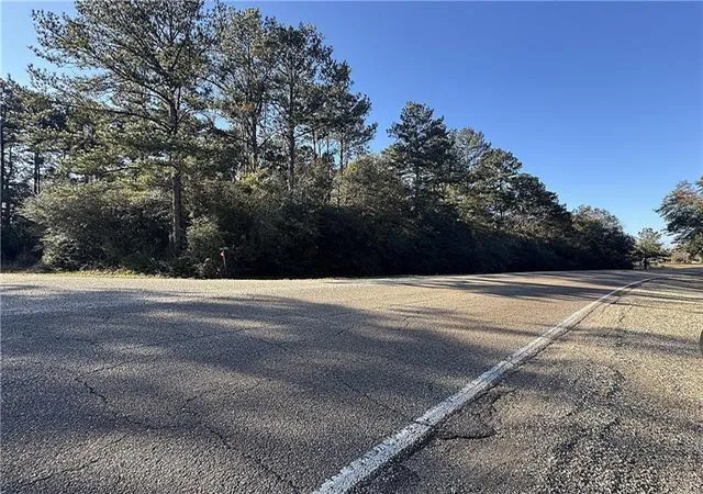 Photo 3 of Land for sale at 2689 Acres Hwy 25, Folsom, LA 70437 | MLS# 2535387 | Listing updated on 2026-01-09