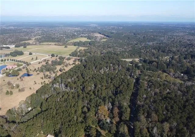 Photo 6 of Land for sale at 2689 Acres Hwy 25, Folsom, LA 70437 | MLS# 2535387 | Listing updated on 2026-01-09