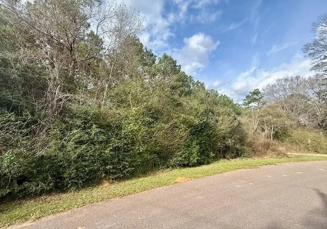 1st image of 00 Burch Rd, Mount Hermon, LA 70450 | MLS# 2537305