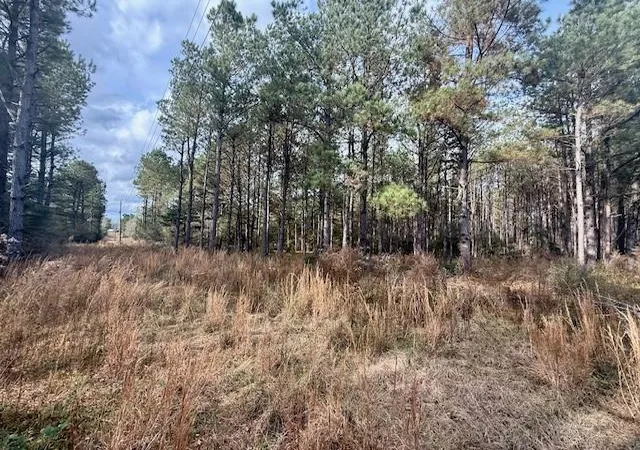 2nd image of 00 Burch Rd, Mount Hermon, LA 70450 | MLS# 2537305