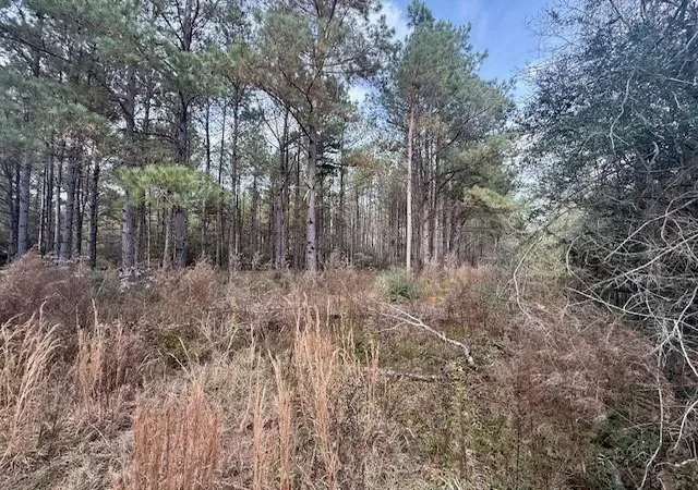3rd image of 00 Burch Rd, Mount Hermon, LA 70450 | MLS# 2537305