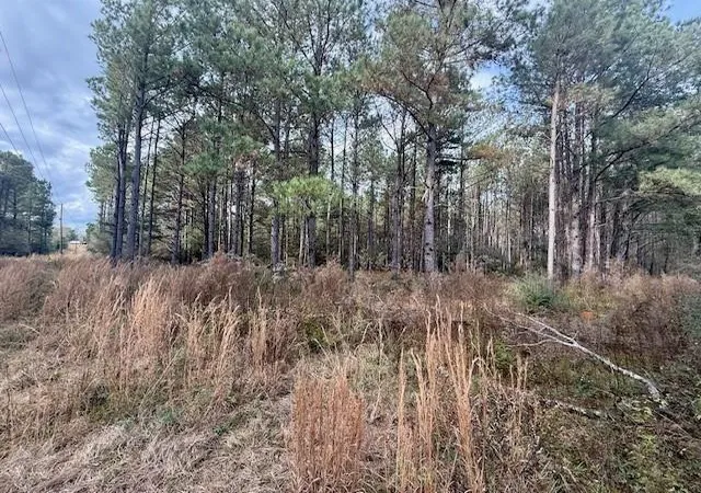 4th image of 00 Burch Rd, Mount Hermon, LA 70450 | MLS# 2537305