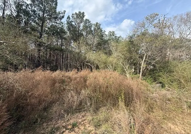 5th image of 00 Burch Rd, Mount Hermon, LA 70450 | MLS# 2537305