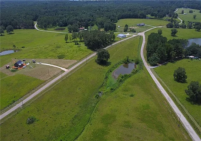 Photo 3 of Land for sale at 116 Acres Lee Rd, Franklinton, LA 70438 | MLS# 2537402 | Listing updated on 2026-07-10