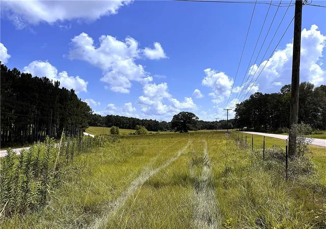 Photo 4 of Land for sale at 116 Acres Lee Rd, Franklinton, LA 70438 | MLS# 2537402 | Listing updated on 2026-07-10