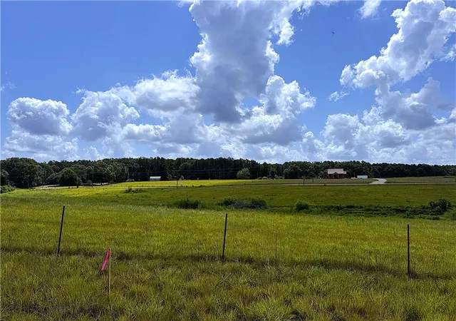 10th image of 6 Acres Lee Rd, Franklinton, LA 70438 | MLS# 2537397