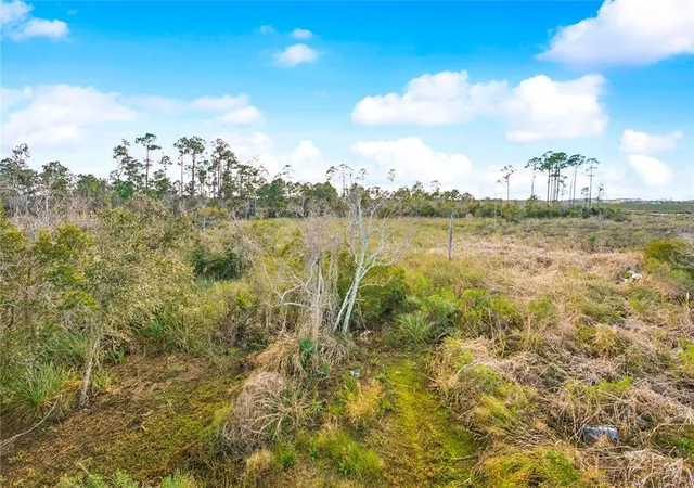 Homes for sale in Slidell, LA | 55259`` Hwy 433, Slidell, LA 70461 | MLS# 2538050