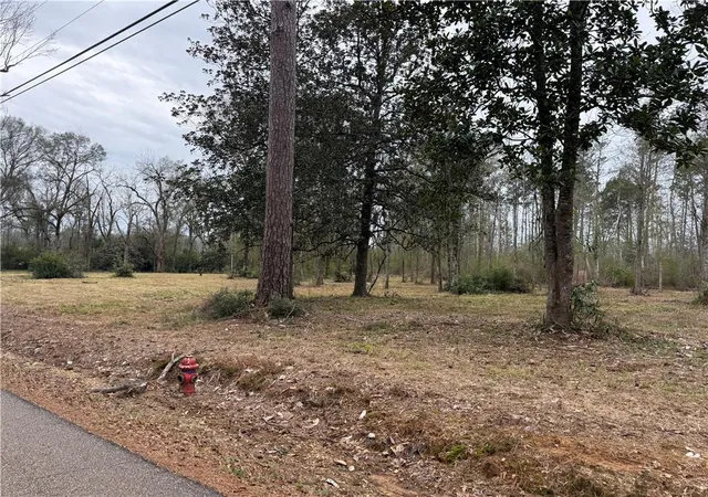 Homes for sale in Roseland, LA | 63271 Hill St, Roseland, LA 70456 | MLS# 2539069