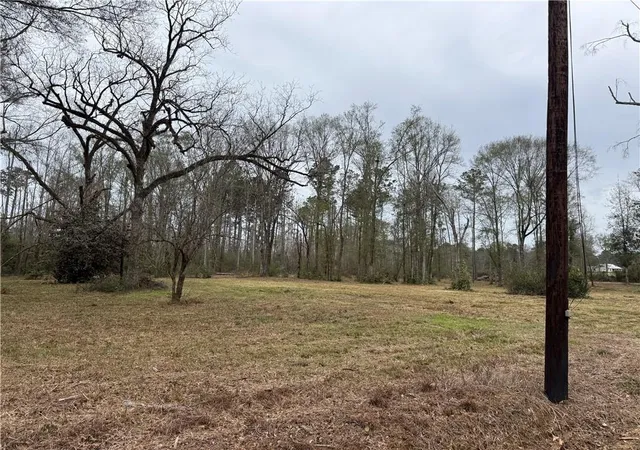 Homes for sale in Roseland, LA | 63271 Hill St, Roseland, LA 70456 | MLS# 2539069