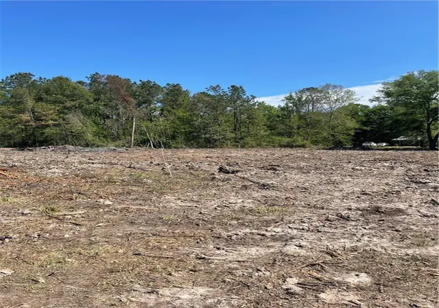 Photo 4 of Land for sale at 21163 E Highway 22, Ponchatoula, LA 70454 | MLS# 2538944 | Listing updated on 2026-06-01