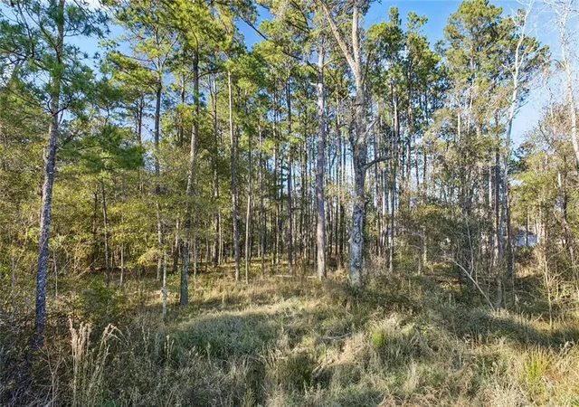 Photo 3 of Land for sale at 12561 Goldentop Dr, Covington, LA 70433 | MLS# 2539607 | Listing updated on 2026-05-12